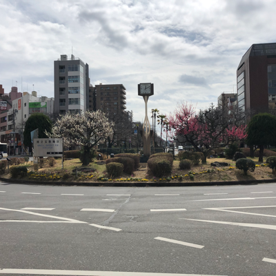 校舎の画像